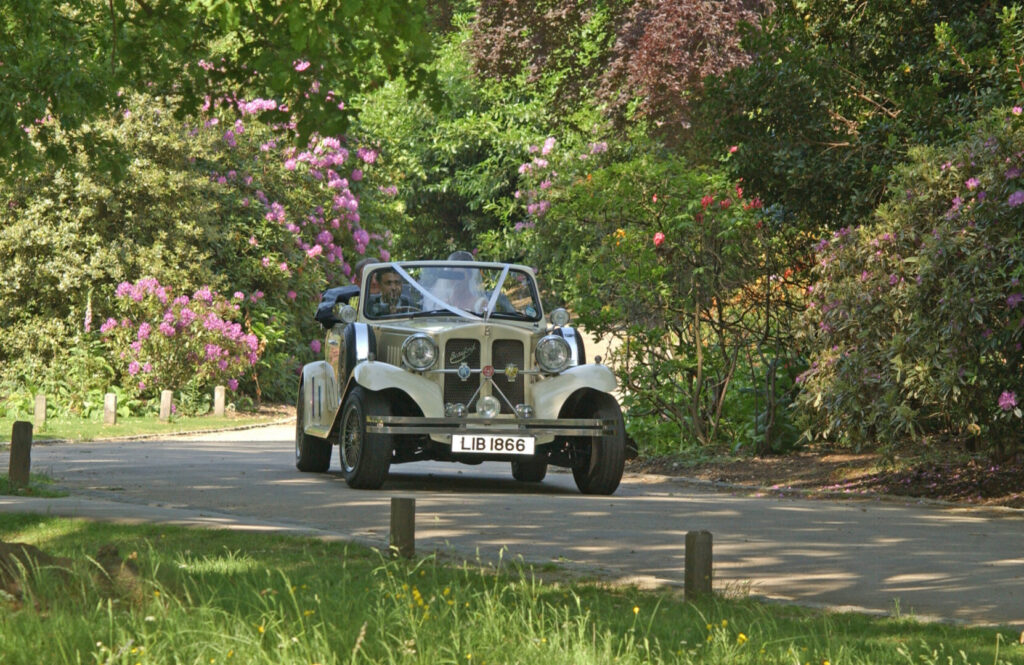 A cream vintage car adorned with white ribbon being driven down a narrow road.
