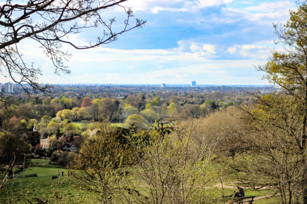 A view from Richmond Park stretching into the distance.