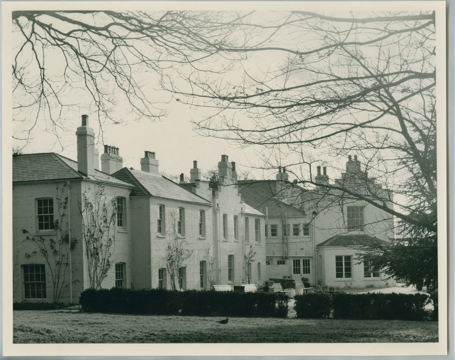Black and white photograph of Pembroke Lodge from 1983, showcasing its grand architecture and surrounding landscape.