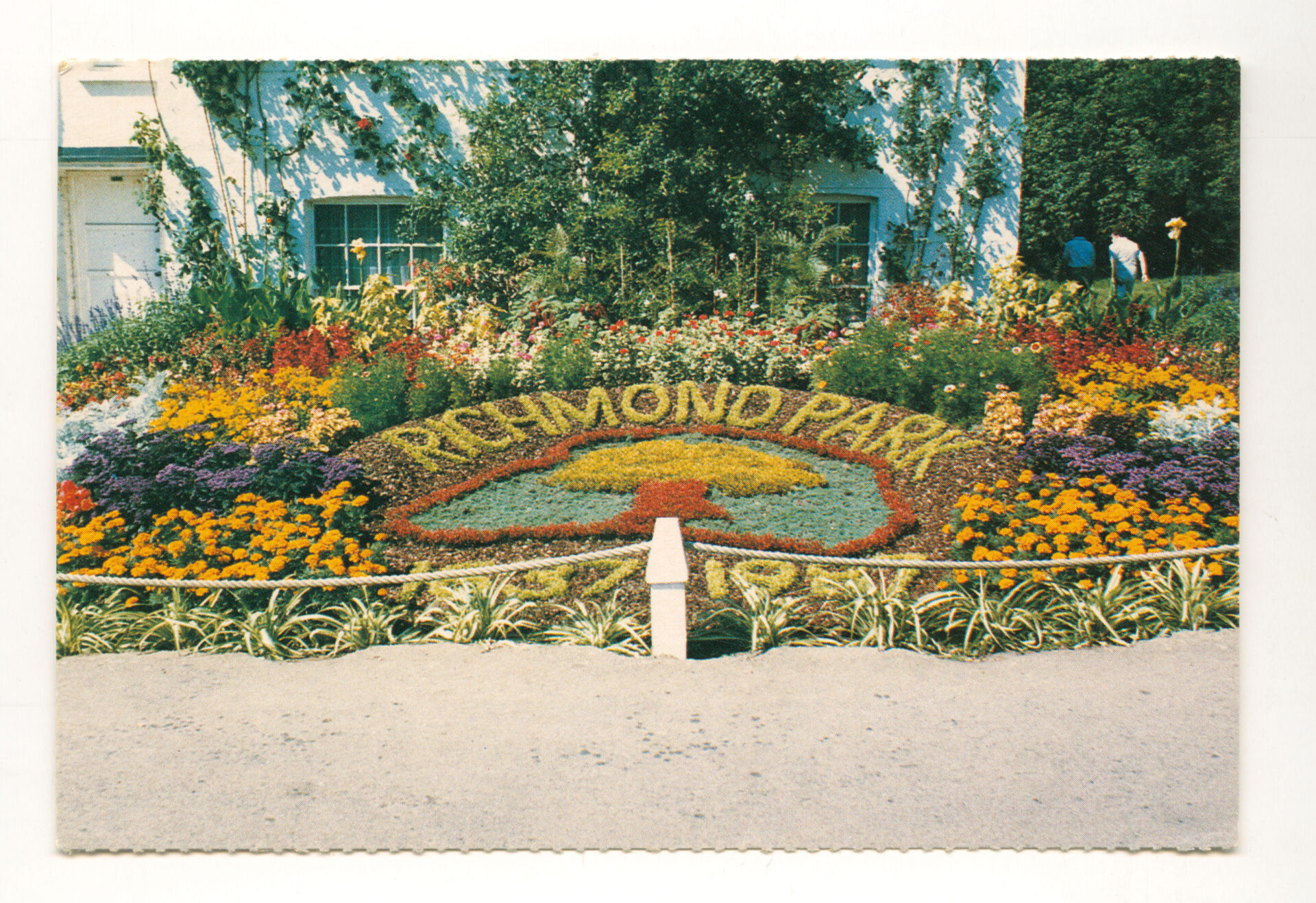 A vibrant flower display at Pembroke Lodge, showcasing a variety of colourful blooms in 1987 including flowers shaped into the words Richmond Park.